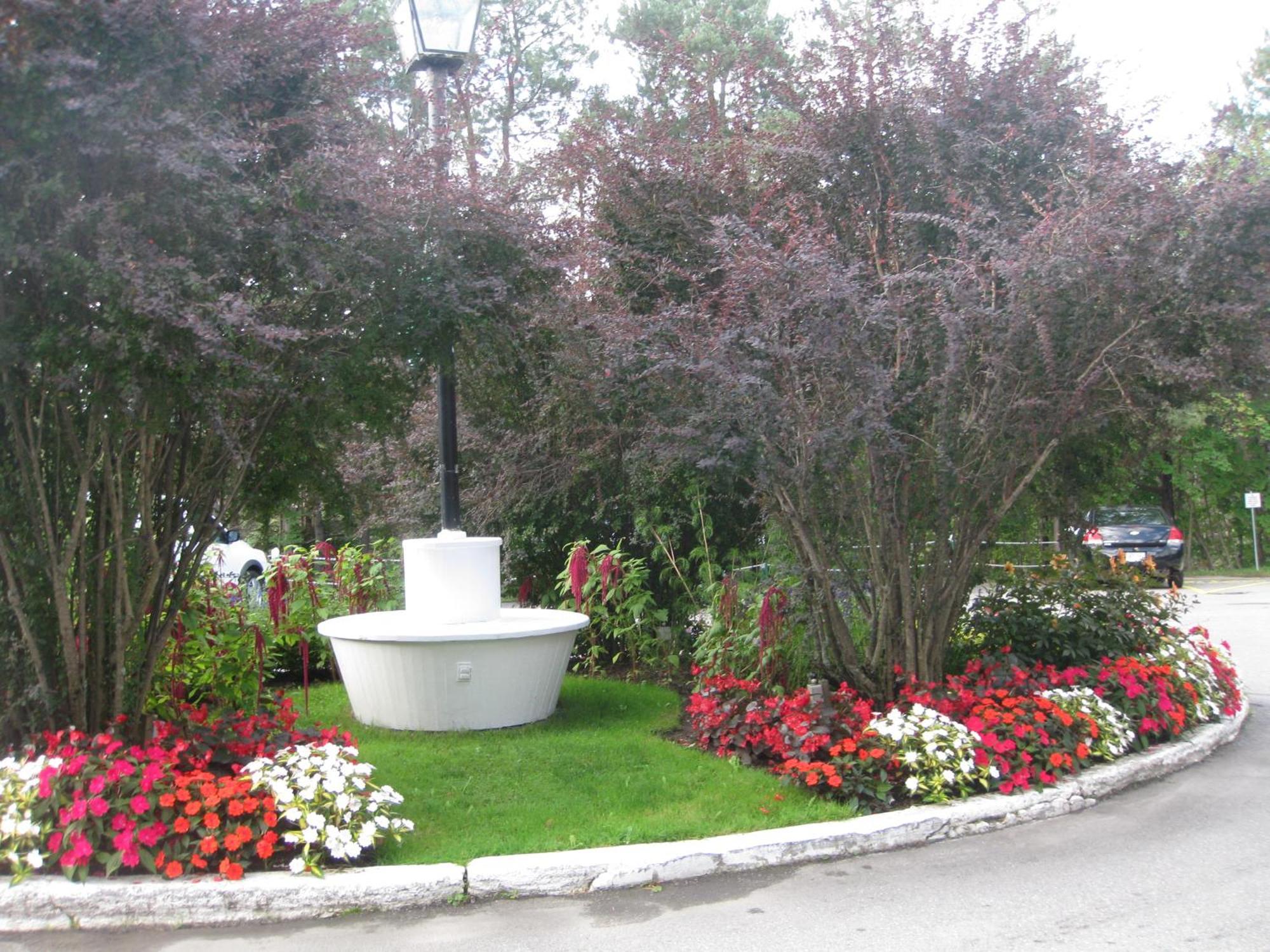 Glynmill Inn Corner Brook Ngoại thất bức ảnh